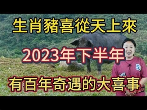 2023屬豬買房|2023年 12生肖購屋運勢